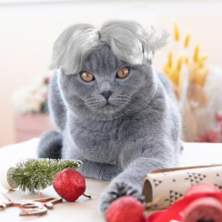 6 Packs Silver Pet Adjustable Funny Cosplay Headwear Wigs for Christmas Holiday Parties